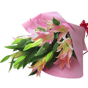 a  MtgyzwIG^[̉ԑxJTuJ IG^ ͂w t[Mtg   S ԑ JTuJ 25  v[g Mtg  