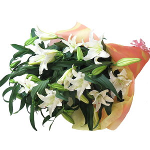 誕生日 花 ギフト【送料無料】『オリエンタルリリーの花束』カサブランカ オリエンタル お届け日指定 フラワーギフト ユリ ゆり 百合 花束 カサブランカ 25輪 豪華 プレゼント ギフト 花 生