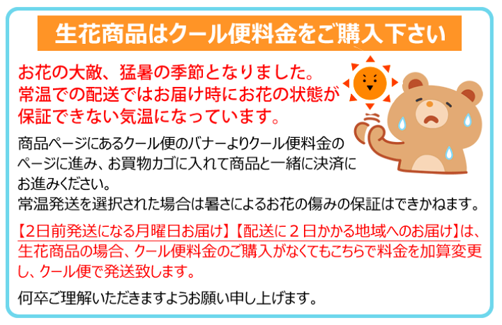 楽天市場】青いカーネーション ムーンダスト ブーケ 『 ムーン