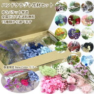 ハンドメイド 花材 詰合わせ 送料無料『 ハンドクラフト 花材セット 』15種類 プリザーブドフラワー ドラ…