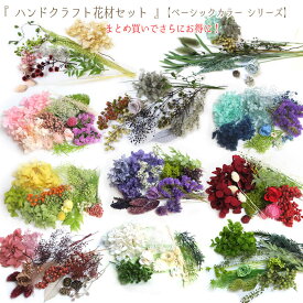 楽天市場 ハーバリウム 花材の通販