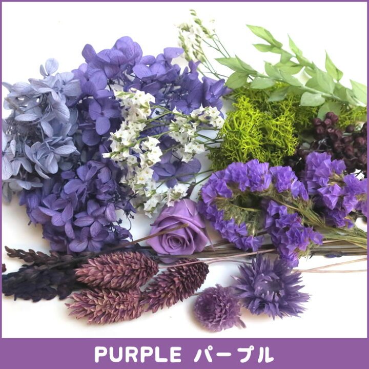 市場 プリザーブド 大地農園 材料 スプリンゲリー アスパラ 小分け 資材 プリザ 白 オフホワイト 花材 ギフト ハーバリウム インテリア