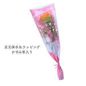 [12��ނ���I�ׂ�250�~�`] ���� ���� �w �K�[�x���̈�� �u�[�P �x 4type 3color �� 1�� 1�{ ��� ��{ 1�ւ̉� �ԑ� ���b�s���O �Ԍ��t �Ӗ� ��] �O�i ���C �K�[�x�� �s���N ���F �I�����W ���� ��