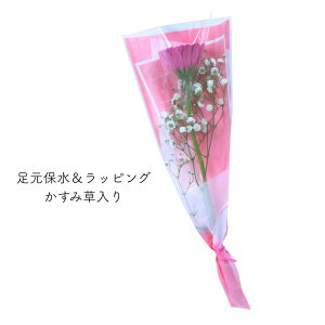 [12��ނ���I�ׂ�250�~�`] ���� ���� �w �K�[�x���̈�� �u�[�P �x 4type 3color �� 1�� 1�{ ��� ��{ 1�ւ̉� �ԑ� ���b�s���O �Ԍ��t �Ӗ� ��] �O�i ���C �K�[�x�� �s���N ���F �I�����W ���� ��