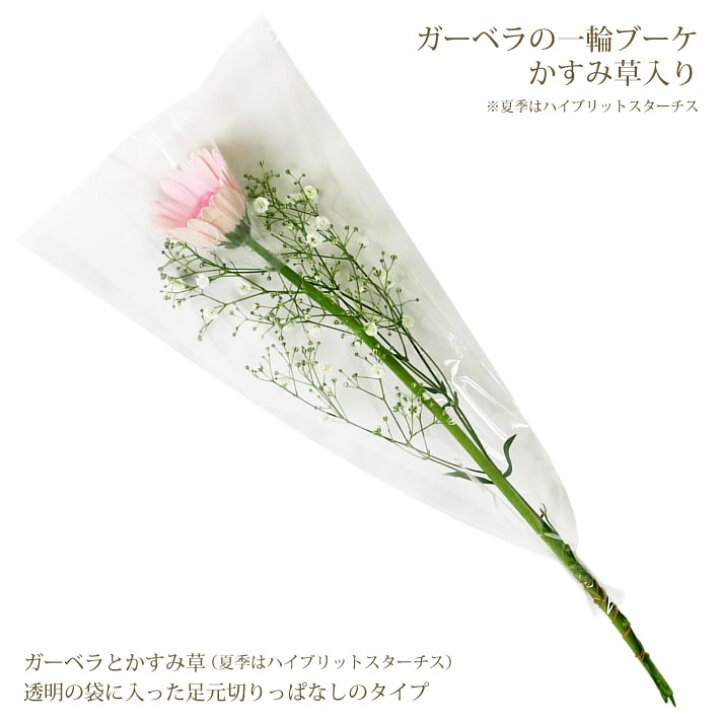楽天市場 28種類から選べる165円 ガーベラの一輪 ブーケ かすみ草 入り 花 1輪 1本 一本 1輪の花 花束 プレゼント ラッピング 花言葉 意味 希望 前進 元気 ガーベラ ピンク 黄色 イエロー オレンジ 生花 切り花 卒業式 卒園式 通販 花屋 おすすめ