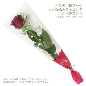 一輪 花 プレゼントの人気商品 通販 価格比較 価格 Com