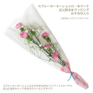生花 カーネーション 一輪の人気商品 通販 価格比較 価格 Com 生花 カーネーション 一輪の人気商品 通販 価格比較 価格 Com