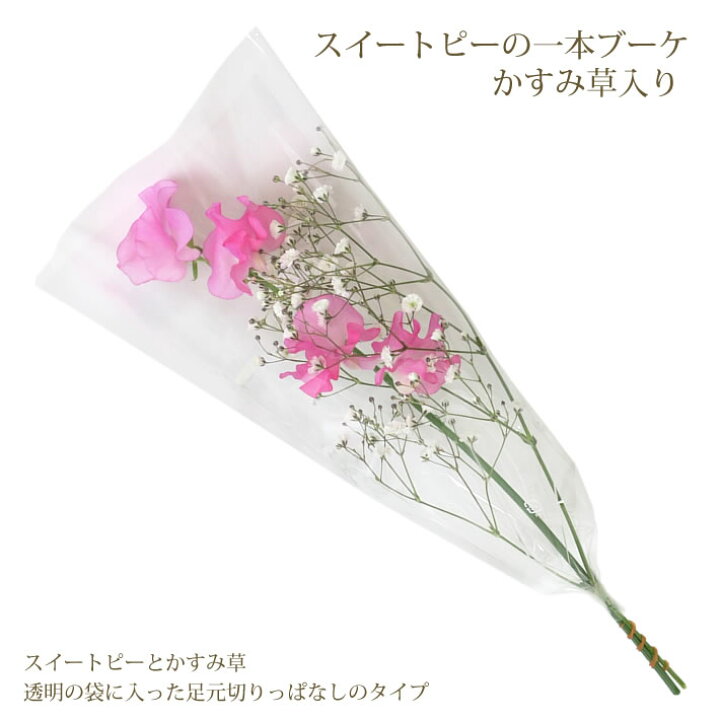 楽天市場 28種類から選べる165円 スイートピーの一輪 ブーケ かすみ草 入り 花 1輪 1本 一輪 一本 1輪の花 花束 プレゼント ラッピング 花言葉 意味 喜び 思い出 門出 スイートピー ピンク イエロー パープル 生花 切り花 卒業式 卒園式 通販 花屋 おすすめ 楽天市場 28種類から選べる165円 スイートピーの一輪 ブーケ かすみ草 入り 花 1輪 1本 一輪 一本 1輪の花 花束 プレゼント ラッピング 花言葉 意味 喜び 思い出 門出 スイートピー ピンク イエロー パープル 生花 切り花 卒業式 卒園式 通販 花屋 おすすめ