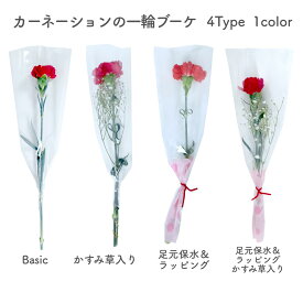 [4種類から選べる165円〜] 卒園 卒業 『 カーネーションの一輪 ブーケ 』 4type 花 1輪 1本 一輪 一本 1輪の花 花束 ラッピング 花言葉 意味 愛情 敬愛 名声 カーネーション 赤 レッド 生花 切り花 切花 卒園式 卒業式 成人式 通販 イベント 送別 /IGP