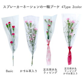 [8種類から選べる220円〜] 卒園 卒業 『 スプレーカーネーションの一本 ブーケ 』 4type 2color 花 1輪 1本 一輪 一本 1輪の花 花束 花言葉 意味 熱心 感動 あたたかい心 スプレーカーネーション 赤 ピンク 生花 切り花 切花 卒園式 卒業式 成人式 通販 イベント 送別 /IGP