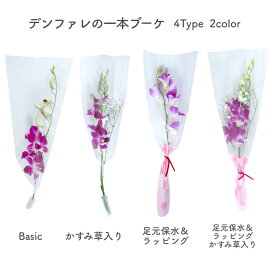 [4種類から選べる300円〜] 卒園 卒業 『 デンファレの一本 ブーケ 』 4type 花 1輪 1本 一輪 一本 1輪の花 花束 ラッピング 保水キャップ付き 花言葉 意味 美人 華やか 思いやり デンファレ 紫 パープル 生花 切り花 切花 卒園式 卒業式 成人式 通販 イベント 送別 /IGP