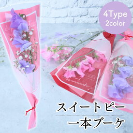 [8種類から選べる165円〜] 卒園 卒業 『 スイートピーの一本 ブーケ 』 花 1輪 1本 一輪 一本 1輪の花 花束 ラッピング 花言葉 意味 喜び 門出 思い出 春 季節 スイートピー ピンク パープル 生花 切り花 切花 卒園式 卒業式 成人式 通販 イベント 送別 /IGP