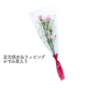 [8ނIׂ220~`]   w Xv[J[l[V̈{ u[P x 4type 2color  1 1{  { 1ւ̉ ԑ Ԍt Ӗ MS  S Xv[J[l[V  