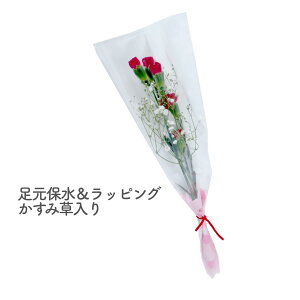 [8ނIׂ220~`]   w Xv[J[l[V̈{ u[P x 4type 2color  1 1{  { 1ւ̉ ԑ Ԍt Ӗ MS  S Xv[J[l[V  