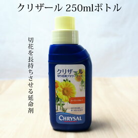 美しい花の画像 ベスト50 花 延命 剤