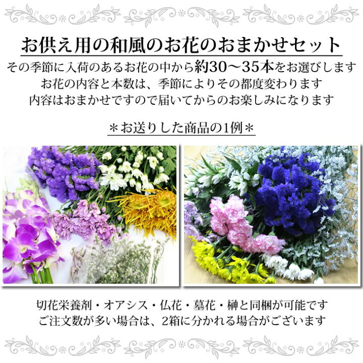市場 切り花の福袋 45cm グリーンを添えて 葉もの 本数15本以上 送料無料 季節のお花を5種類以上 草丈 花丈