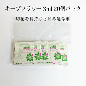 生花 パンジーの人気商品 通販 価格比較 価格 Com