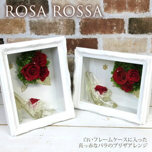 vU[uht[  o VfV[Y j j v[g 蕨 LO t[Mtg {bNX AWg  EFJ{[h KN CeA 