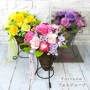 vU[uht[ AWg wtHe[ix NAP[X  t[AW 蕨 Mtg v[g j a JXj JƏj j ސEj Ε 