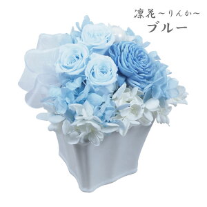 vU[uht[  wzԂ񂩁x P[X 4F u[ p[v CG[ sN 䋟     AWg 䕧O dp ͂Ȃ 49 l\  