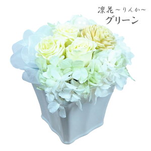 vU[uht[  wzԂ񂩁x P[X 4F u[ p[v CG[ sN 䋟     AWg 䕧O dp ͂Ȃ 49 l\  