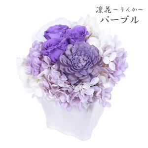 vU[uht[  wzԂ񂩁x P[X 4F u[ p[v CG[ sN 䋟     AWg 䕧O dp ͂Ȃ 49 l\  