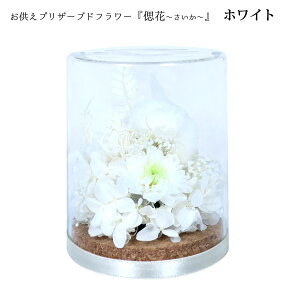 vU[uht[  wÉ ``x 4F KX {gt[ p[v CG[ zCg sN 䋟     AWg 䕧O dp ͂Ȃ 4