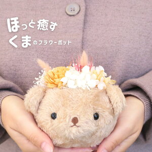 vU[uht[w قƖ܂̃t[|bgx a  v[g Iׂ3J[ hV̓ j LO  w LO j oYj j hV vU 