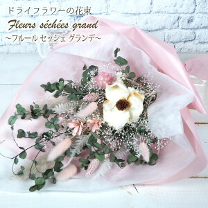 a  v[g hCt[ u[P w t[ZbVFOf x vU[uht[ ԑ u[P 傫 Mtg v[g vU hCt[ ͂Ȃ  vUA