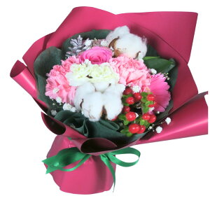 ~J[ a  Mtgyzw ̂܂܏ u[P x ԑ Iׂ 6 +G߃J[  AWg ԑ u[P a o[Xf[ v[g LO LO j