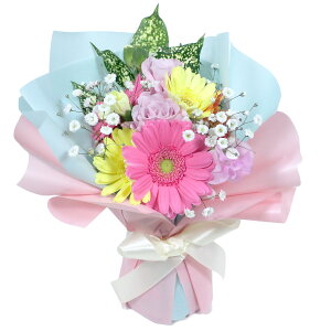 HJ[ a  Mtgyzw ̂܂܏ u[P x ԑ Iׂ 6 +G߃J[  AWg ԑ u[P a o[Xf[ v[g LO LO j