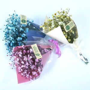 a  MtgyzwJtݑu[Px 2type v`u[P 3_Zbg ݑ   Jtԑ ݑ JX~\E  ԑ u[P a Ǝ  w 