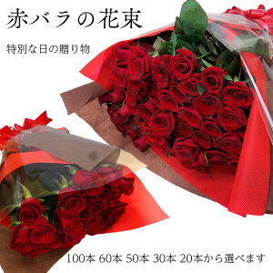 a  Mtgyzwԃỏԑx 20{ 30{ 50{ 60{ 100{ KN o ΂ Ԃ ԂKN Ԃo [Y  ԑ v[g j a LO j җ 60 60 