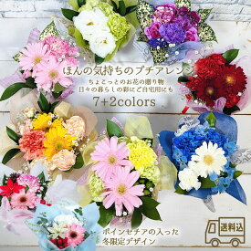 期間限定 冬 ポインセチア 誕生日 花 ギフト【送料無料】『 ほんの気持ち の プチアレンジ 』9colors 季節 プチギフト ウィンター 冬 クリスマス 生花 フラワー ギフト そのまま飾れる アレンジメント プレゼント バースデー 出産祝い お見舞い 花 お供え/FGP