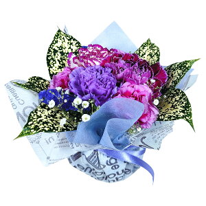 ԌnEB a  Mtgyzw ق̋C  v`AW x9colors G v`Mtg nEB H I[^  t[ Mtg ̂܂܏ AWg 