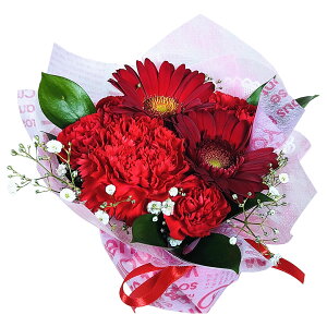 Ԍ ~ |CZ`A a  Mtgyzw ق̋C  v`AW x9colors G v`Mtg EB^[ ~ NX}X  t[ Mtg ̂܂܏ A