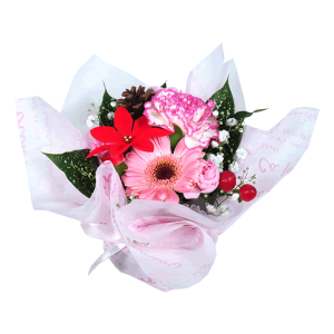 Ԍ ~ |CZ`A a  Mtgyzw ق̋C  v`AW x9colors G v`Mtg EB^[ ~ NX}X  t[ Mtg ̂܂܏ A