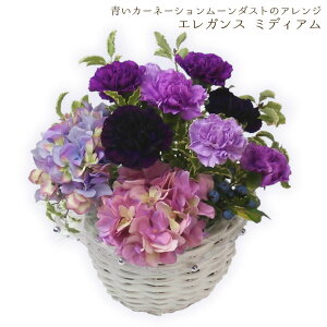 生花 カーネーション ムーンダストの人気商品 通販 価格比較 価格 Com