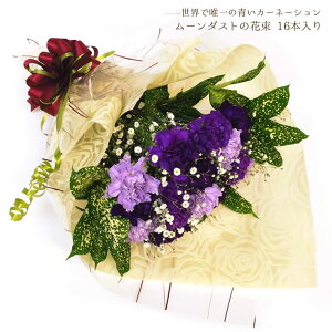 生花 花束 ムーンダストの人気商品 通販 価格比較 価格 Com