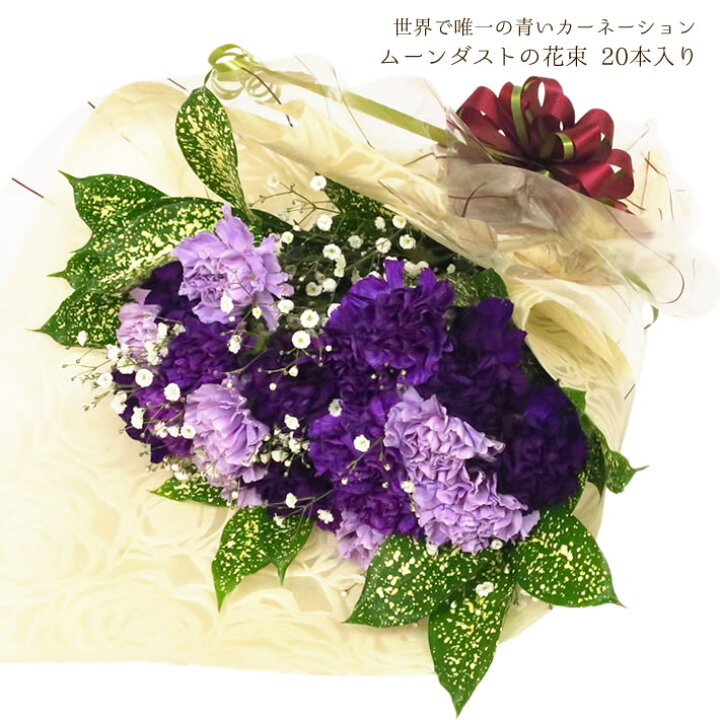 楽天市場 0円offクーポン 青いカーネーション ムーンダスト ブーケ ムーンダストの花束 本入り 花 プレゼント ギフト お届け日指定可 ご予約 カーネーション 青 紫 豪華 お祝い 開店祝い 開業祝い 祝い 長寿 古希 還暦 傘寿 喜寿 白寿 百寿 花言葉 永遠の