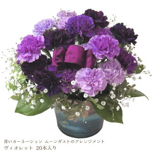 生花 花束 ムーンダストの通販 価格比較 価格 Com