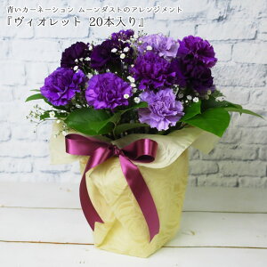 青 カーネーション 生花の人気商品 通販 価格比較 価格 Com 青 カーネーション 生花の人気商品 通販 価格比較 価格 Com