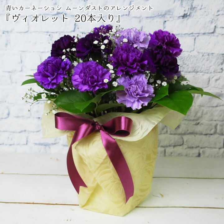 楽天市場 青いカーネーション ムーンダスト アレンジ ヴィオレット 本入り 花 プレゼント ギフト お届け日指定可 ご予約 カーネーション 青 紫 豪華 お祝い 開店祝い 開業祝い 周年 祝い 長寿 古希 還暦 傘寿 喜寿 白寿 百寿 花言葉 永遠の幸福 Fgp パンジー