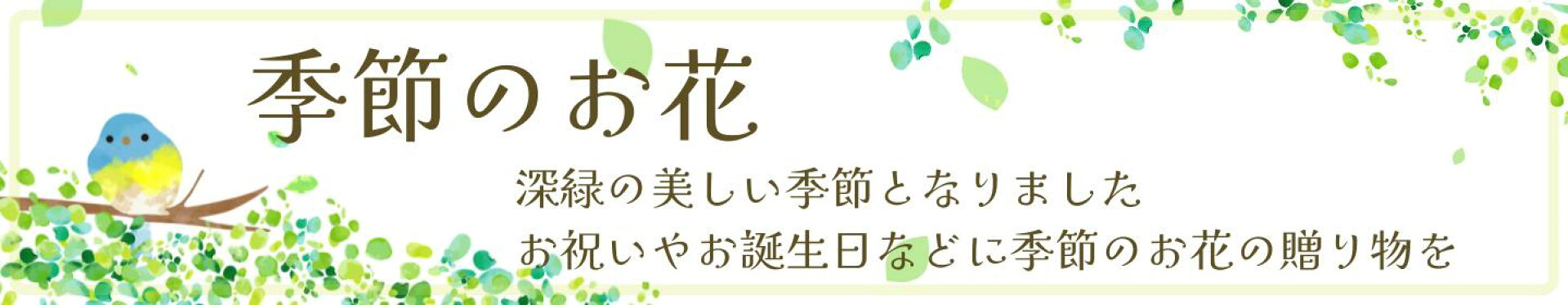 季節のお花特集
