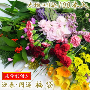 Ԓh܁h10tI[100{]w}t ؉ԕ 100x 100{肨͂122631܂100{O ܕt؉   ؂      