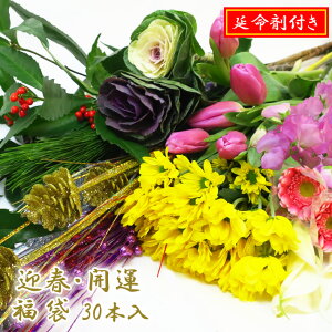 Ԓh܁h10tI[30{]w}t ؉ԕ 30x30{肨͂122631܂30{O ܕt؉   ؂       ؂