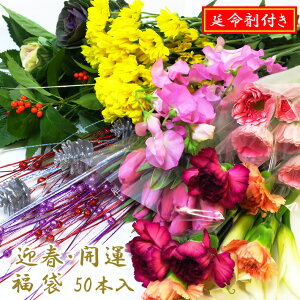 Ԓh܁h10tI[50{]w}t ؉ԕ 50x傫TCY 50{肨͂122631܂50{O ܕt؉   ؂     