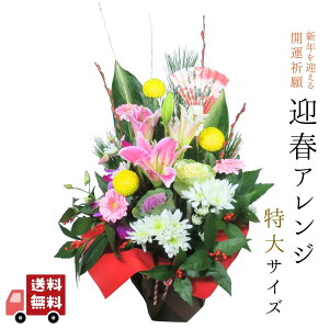 NNn  w }tAW TCY x J^ ̂   2026 ͂12261231 }tt[AW  ߏ   }t     