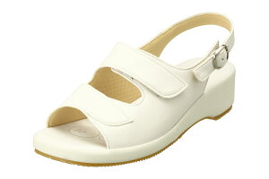 y11/4 9:59܂ŁISiz i[XV[Y i[XT_ ItBXT_  zCg OZ[ a@ { ʃt@Xi[ É fB[X pW[ pansy d q[ i