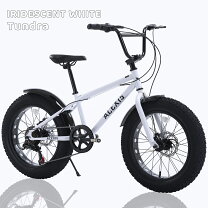 楽天市場】bmx ファット バイクの通販